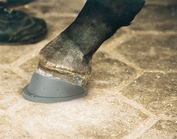 Foal hoof with glued-on DALLMER Clubfoot Shoe