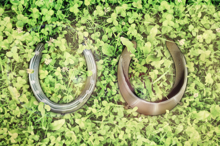 DALLMER Cuff for horseshoes: Standard