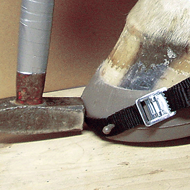 6. Fastening the strap on the hoof and readjusting the fit with a hammer