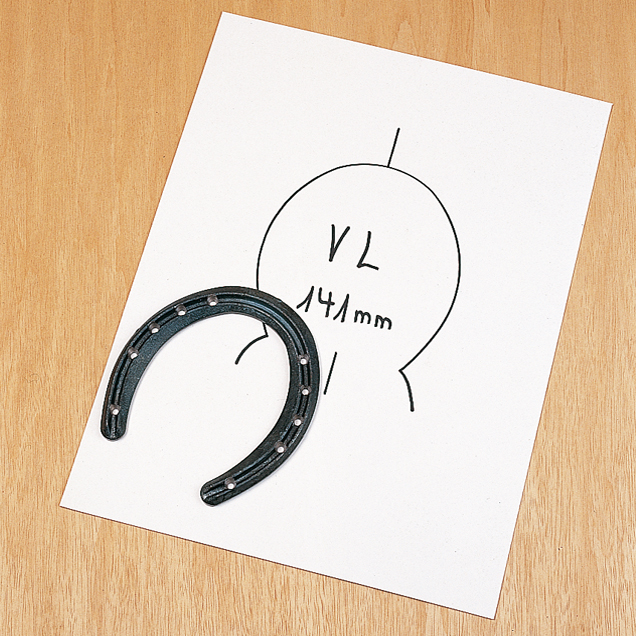 2. Template of the hoof